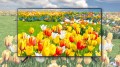 Smart Tivi Samsung 4K 50 inch 50AU7700 UHD Mới 2021