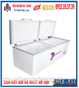 Tủ đông Sanaky Inverter VH-8699HY3 ( 760 lít, 1 ngăn đông, 2 cánh mở, dàn lạnh đồng )