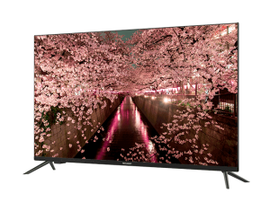 Android Tivi Sharp 2T-C32EG2X Smart 32 Inch - Model 2022