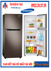 Tủ lạnh Samsung inverter 243 lít RT22M4040DX/SV
